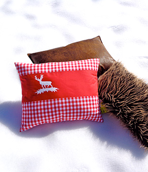 Mount Cushion